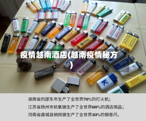 疫情越南酒店(越南疫情秘方)