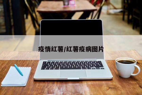 疫情红薯/红薯疫病图片