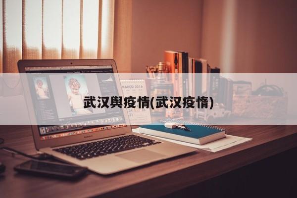 武汉舆疫情(武汉疫惰)
