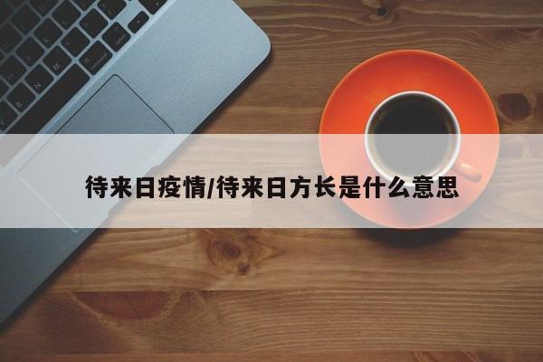 待来日疫情/待来日方长是什么意思